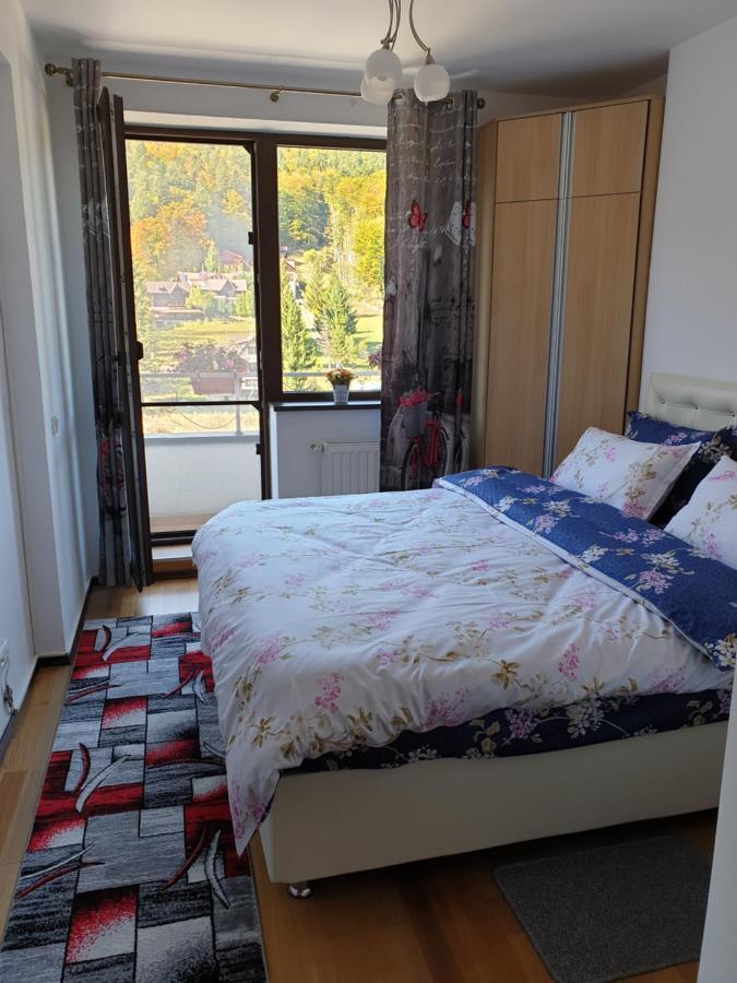 Sophie Apartament Διαμέρισμα Σινάια Εξωτερικό φωτογραφία