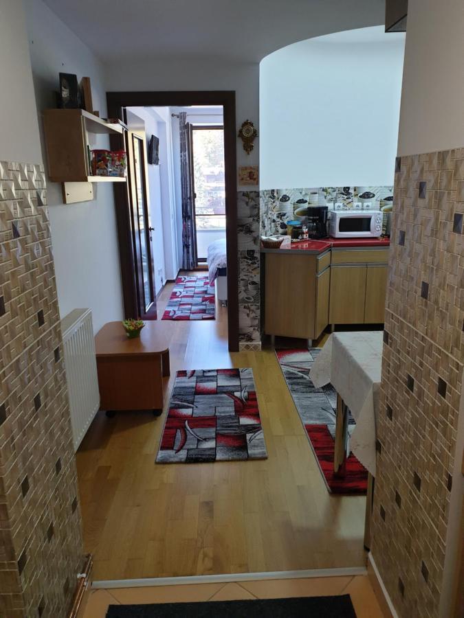 Sophie Apartament Διαμέρισμα Σινάια Εξωτερικό φωτογραφία