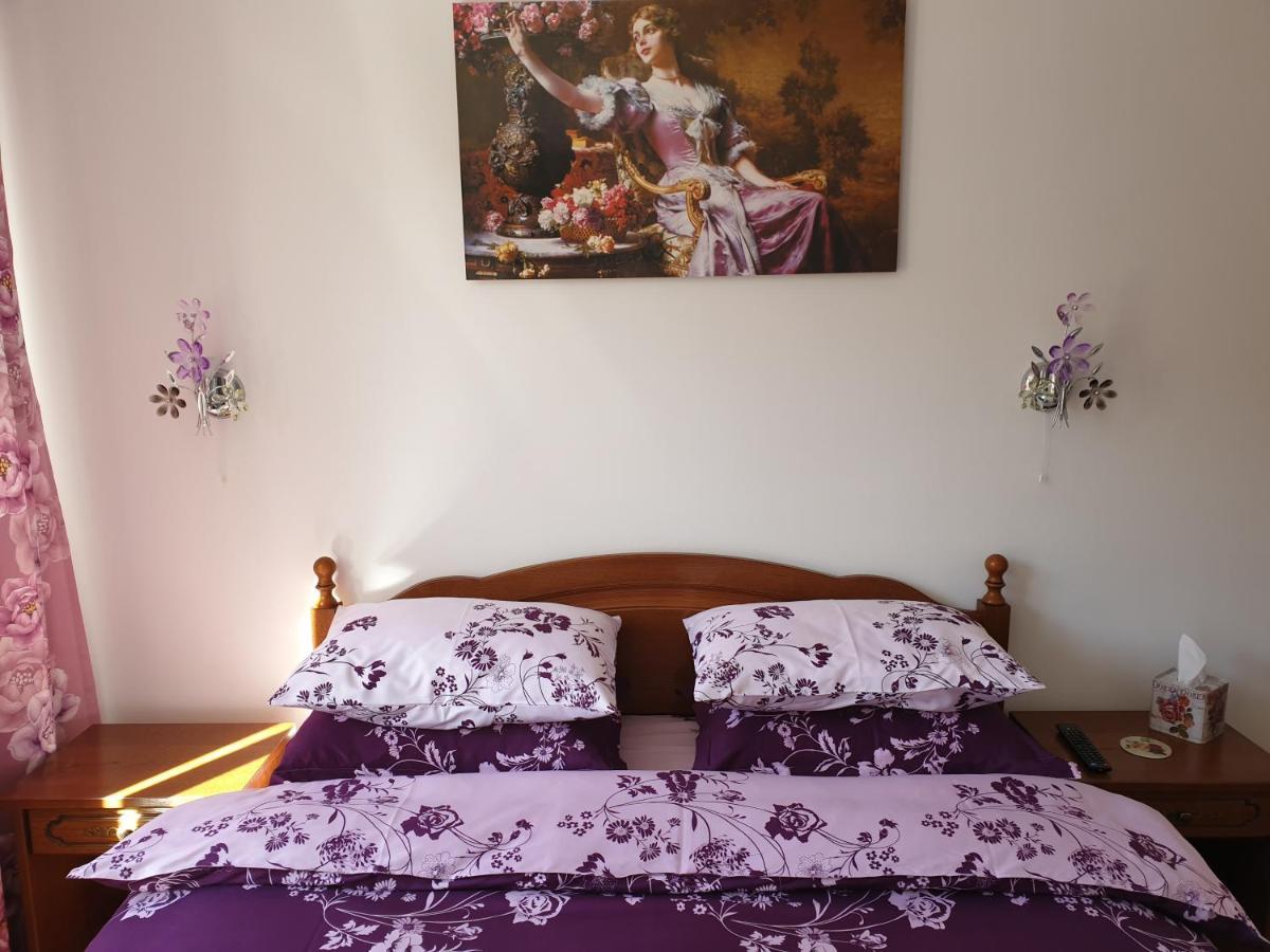 Sophie Apartament Διαμέρισμα Σινάια Εξωτερικό φωτογραφία
