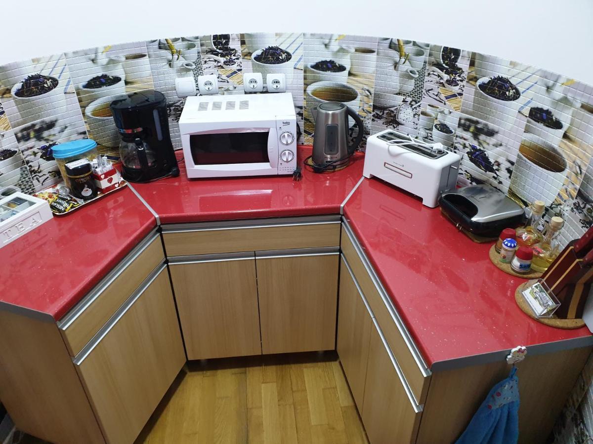 Sophie Apartament Διαμέρισμα Σινάια Εξωτερικό φωτογραφία