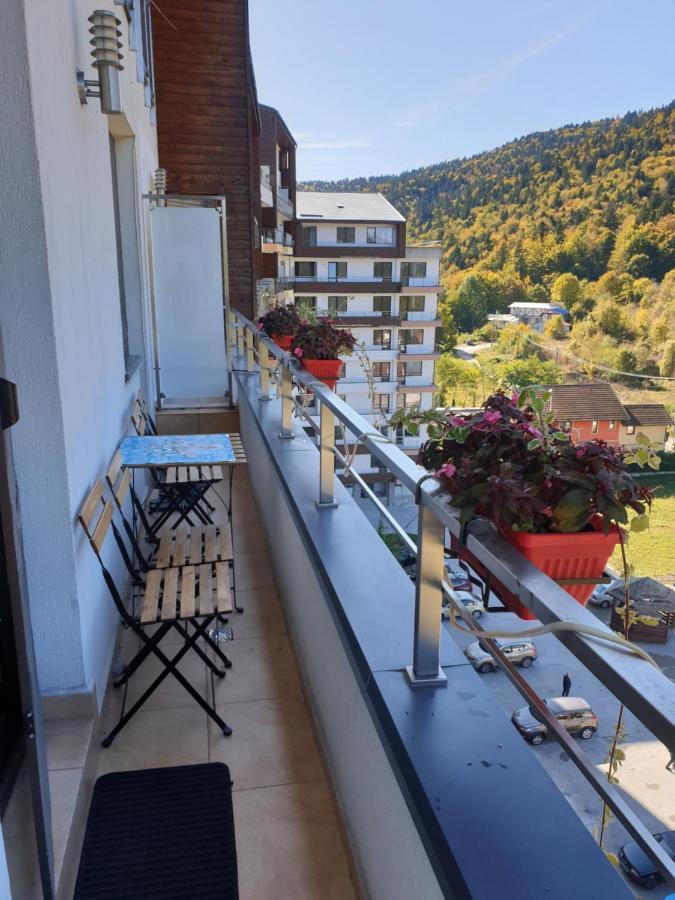 Sophie Apartament Διαμέρισμα Σινάια Εξωτερικό φωτογραφία