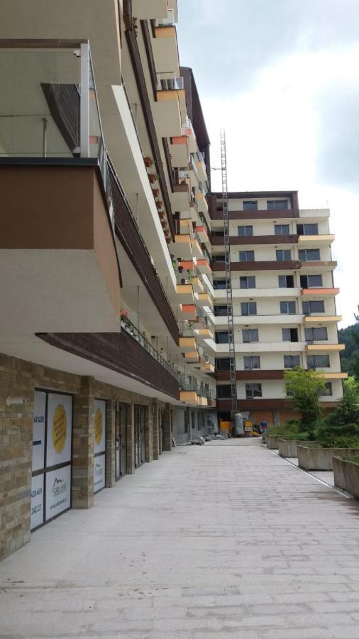 Sophie Apartament Διαμέρισμα Σινάια Εξωτερικό φωτογραφία