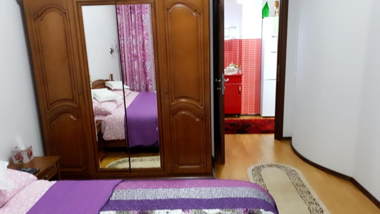 Sophie Apartament Διαμέρισμα Σινάια Εξωτερικό φωτογραφία