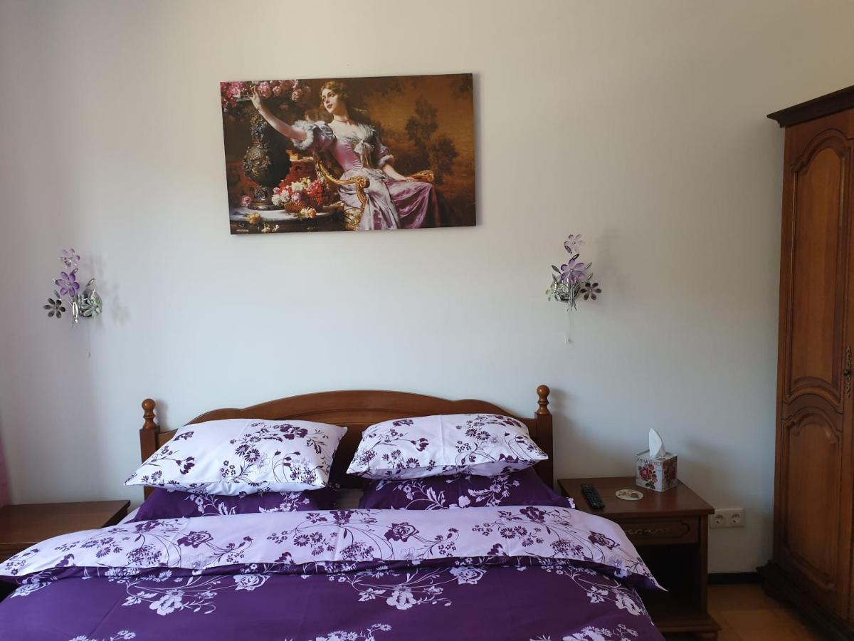 Sophie Apartament Διαμέρισμα Σινάια Εξωτερικό φωτογραφία