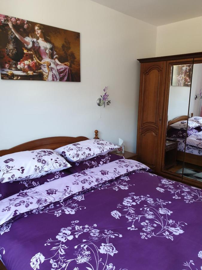 Sophie Apartament Διαμέρισμα Σινάια Εξωτερικό φωτογραφία