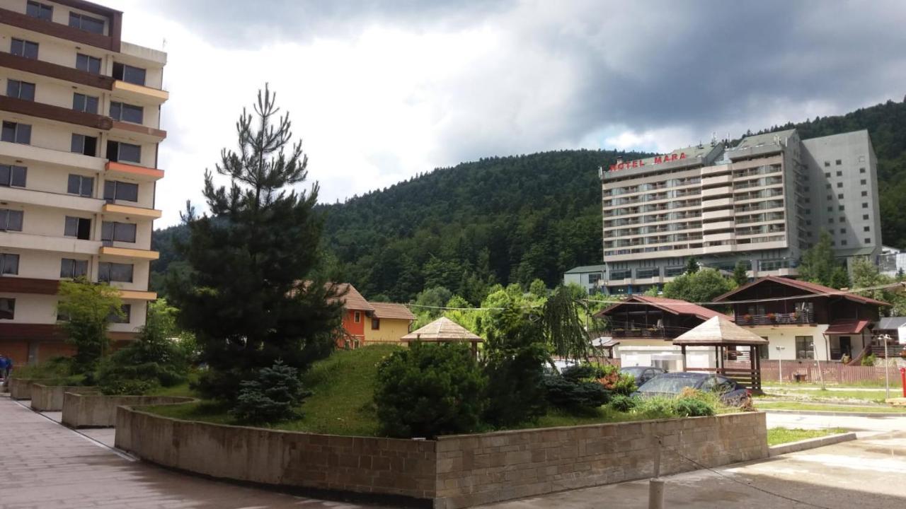 Sophie Apartament Διαμέρισμα Σινάια Εξωτερικό φωτογραφία