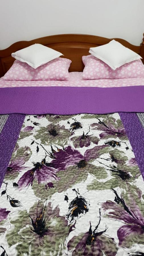 Sophie Apartament Διαμέρισμα Σινάια Εξωτερικό φωτογραφία