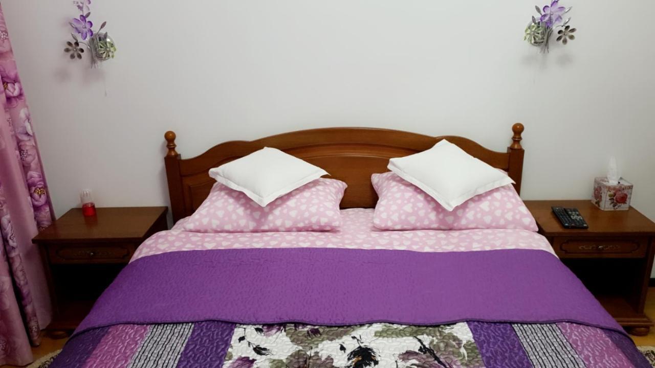 Sophie Apartament Διαμέρισμα Σινάια Εξωτερικό φωτογραφία