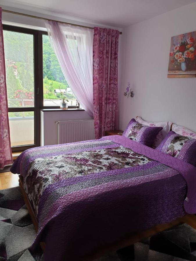 Sophie Apartament Διαμέρισμα Σινάια Εξωτερικό φωτογραφία