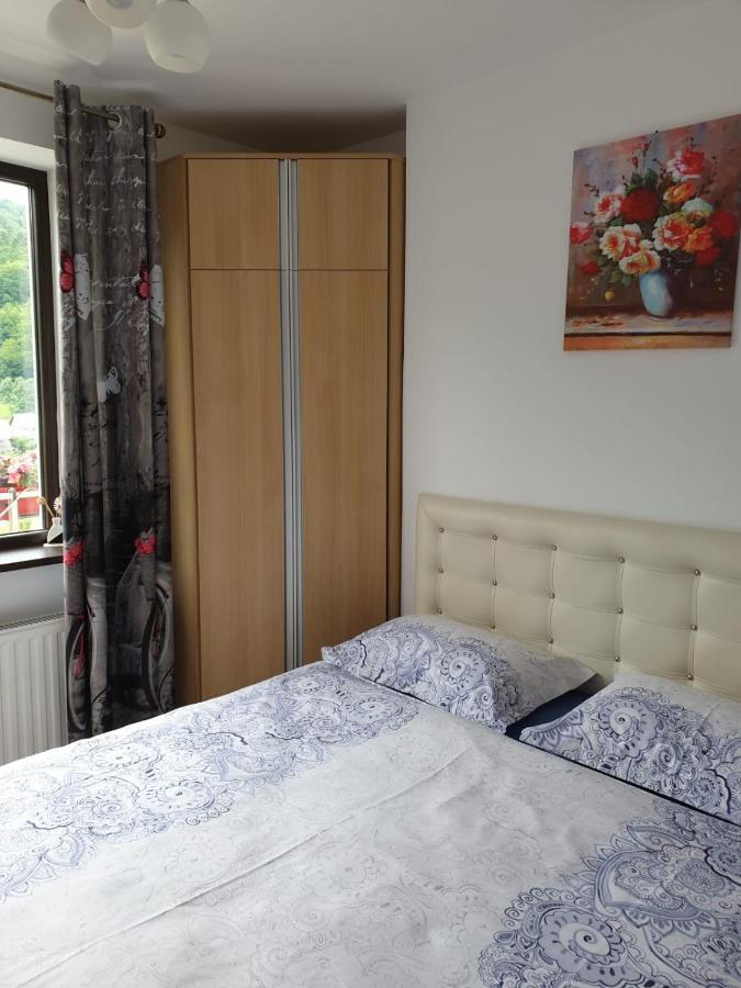 Sophie Apartament Διαμέρισμα Σινάια Εξωτερικό φωτογραφία