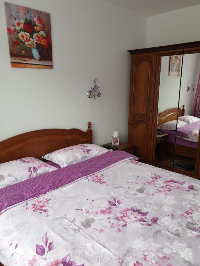 Sophie Apartament Διαμέρισμα Σινάια Εξωτερικό φωτογραφία