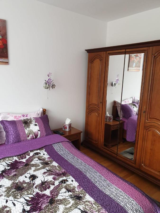 Sophie Apartament Διαμέρισμα Σινάια Εξωτερικό φωτογραφία