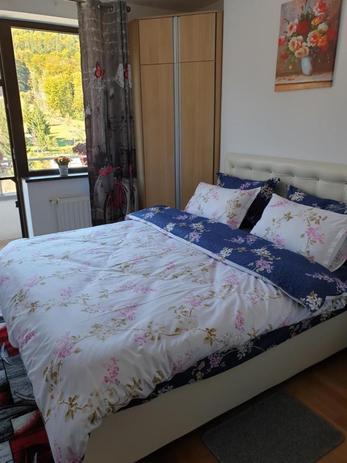 Sophie Apartament Διαμέρισμα Σινάια Εξωτερικό φωτογραφία