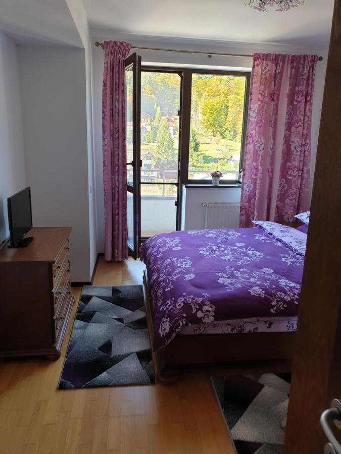 Sophie Apartament Διαμέρισμα Σινάια Εξωτερικό φωτογραφία