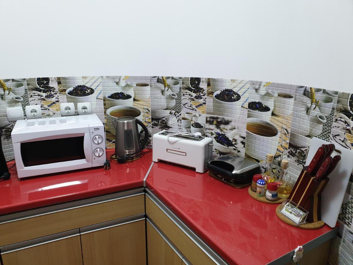 Sophie Apartament Διαμέρισμα Σινάια Εξωτερικό φωτογραφία