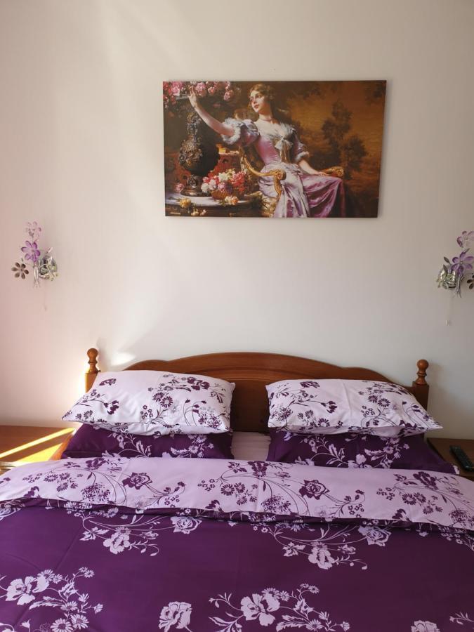 Sophie Apartament Διαμέρισμα Σινάια Εξωτερικό φωτογραφία