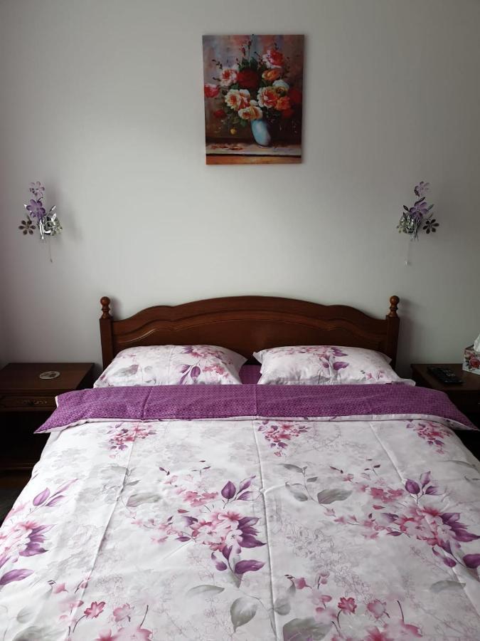 Sophie Apartament Διαμέρισμα Σινάια Εξωτερικό φωτογραφία