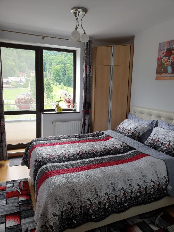Sophie Apartament Διαμέρισμα Σινάια Εξωτερικό φωτογραφία