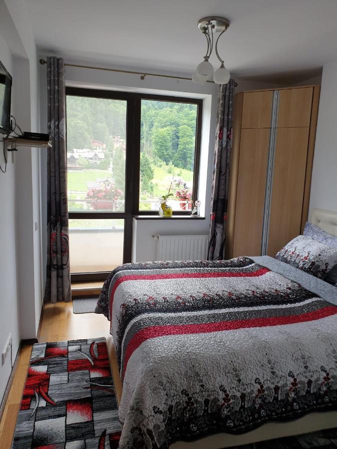 Sophie Apartament Διαμέρισμα Σινάια Εξωτερικό φωτογραφία