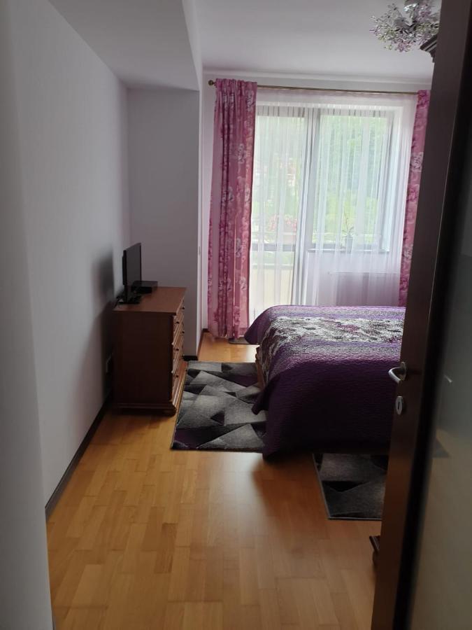 Sophie Apartament Διαμέρισμα Σινάια Εξωτερικό φωτογραφία