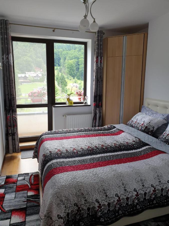 Sophie Apartament Διαμέρισμα Σινάια Εξωτερικό φωτογραφία