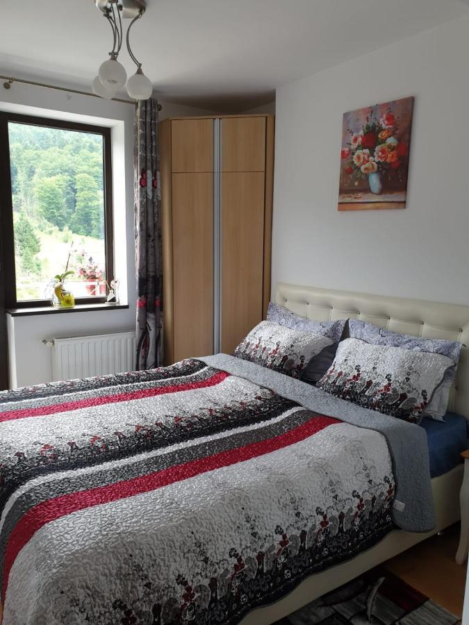 Sophie Apartament Διαμέρισμα Σινάια Εξωτερικό φωτογραφία