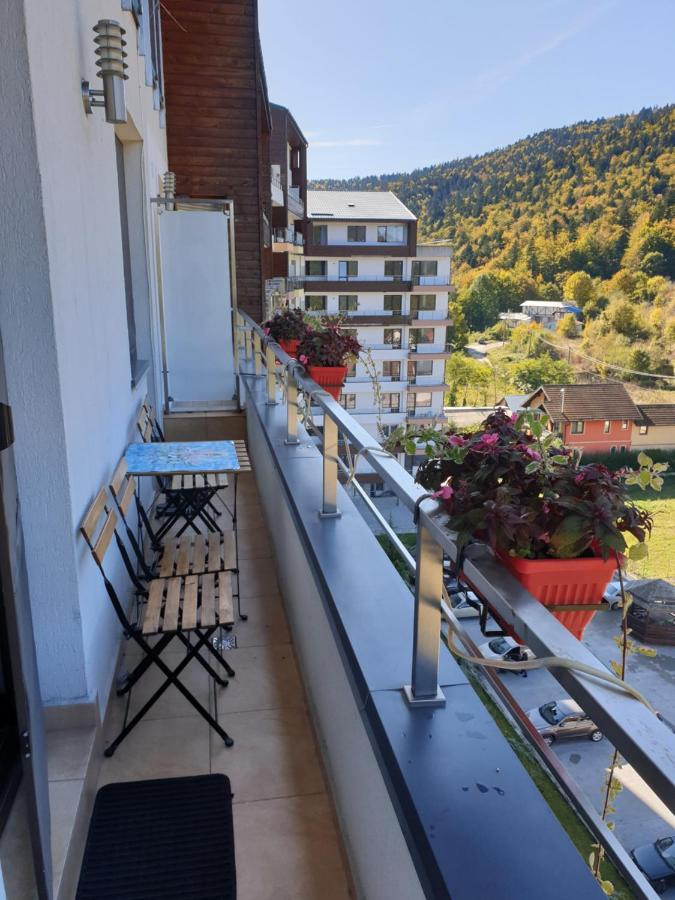 Sophie Apartament Διαμέρισμα Σινάια Εξωτερικό φωτογραφία