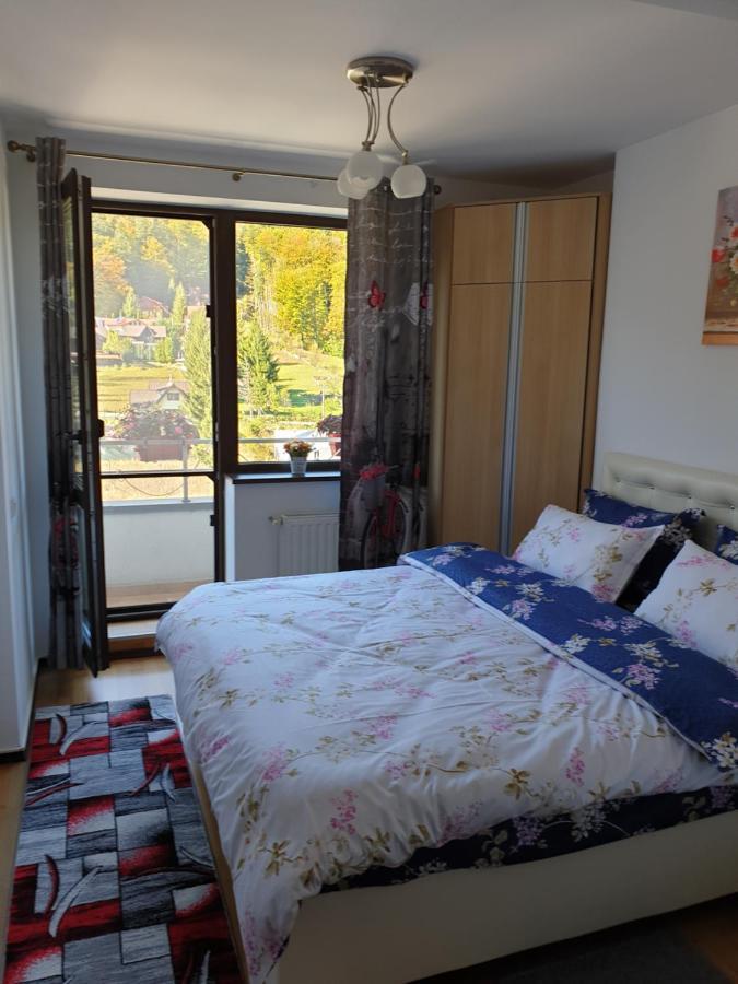 Sophie Apartament Διαμέρισμα Σινάια Εξωτερικό φωτογραφία