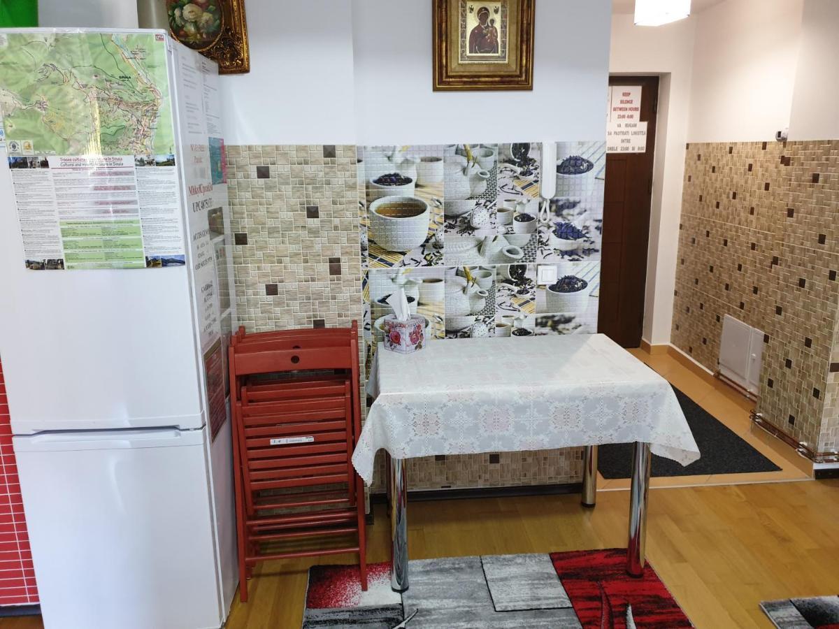 Sophie Apartament Διαμέρισμα Σινάια Εξωτερικό φωτογραφία