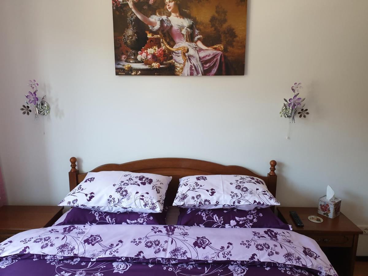 Sophie Apartament Διαμέρισμα Σινάια Εξωτερικό φωτογραφία
