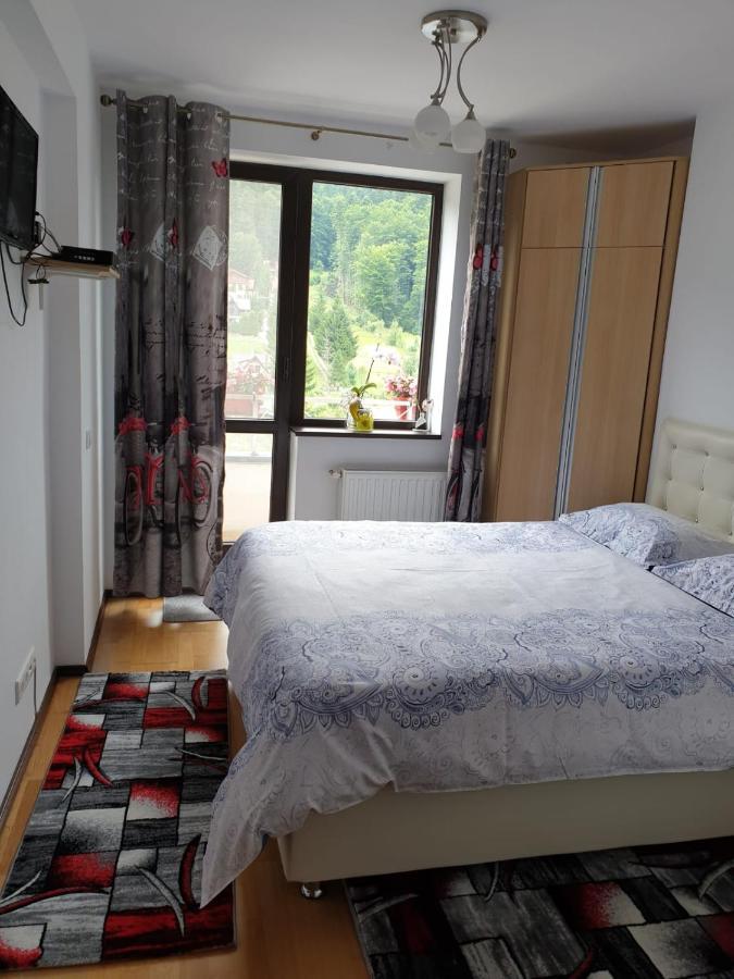 Sophie Apartament Διαμέρισμα Σινάια Εξωτερικό φωτογραφία