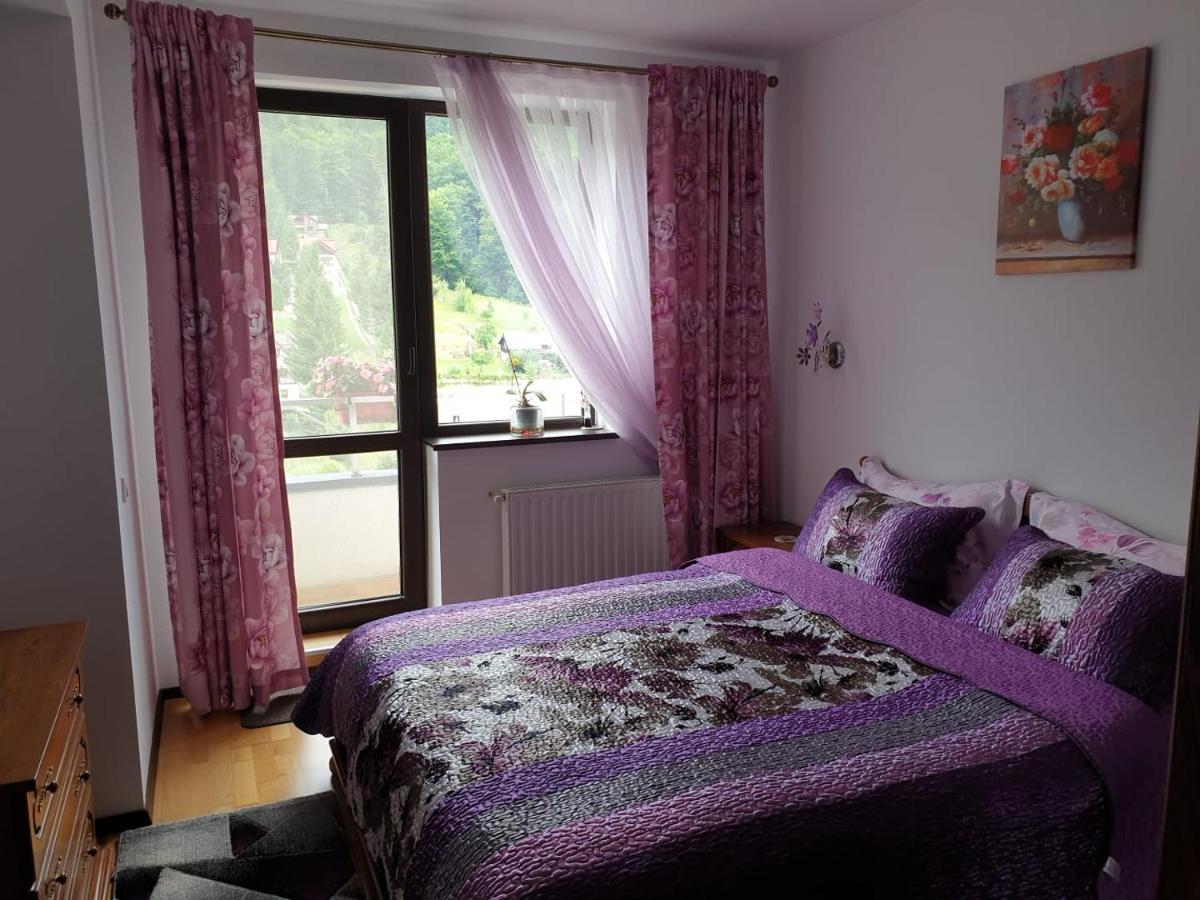 Sophie Apartament Διαμέρισμα Σινάια Εξωτερικό φωτογραφία