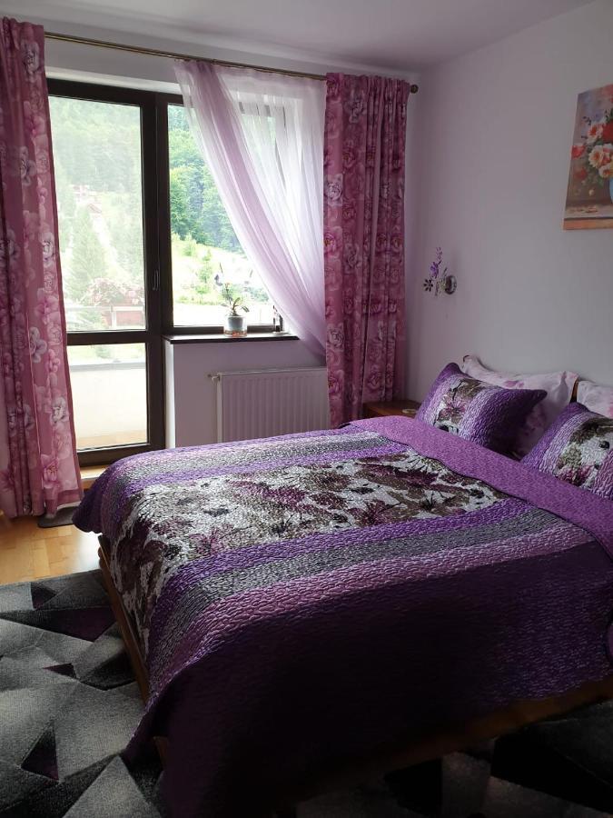 Sophie Apartament Διαμέρισμα Σινάια Εξωτερικό φωτογραφία